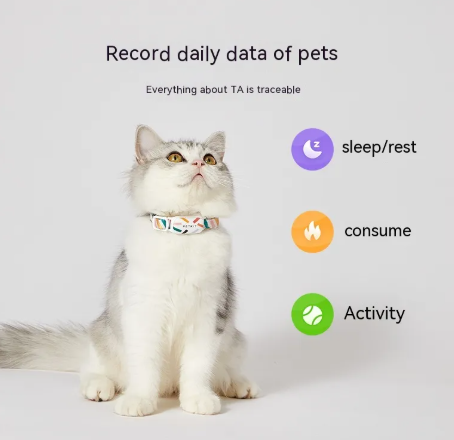 PetFit Smart GPS Pet Collar, real-time tracker with calorie and sleep monitoring for dogs and cats