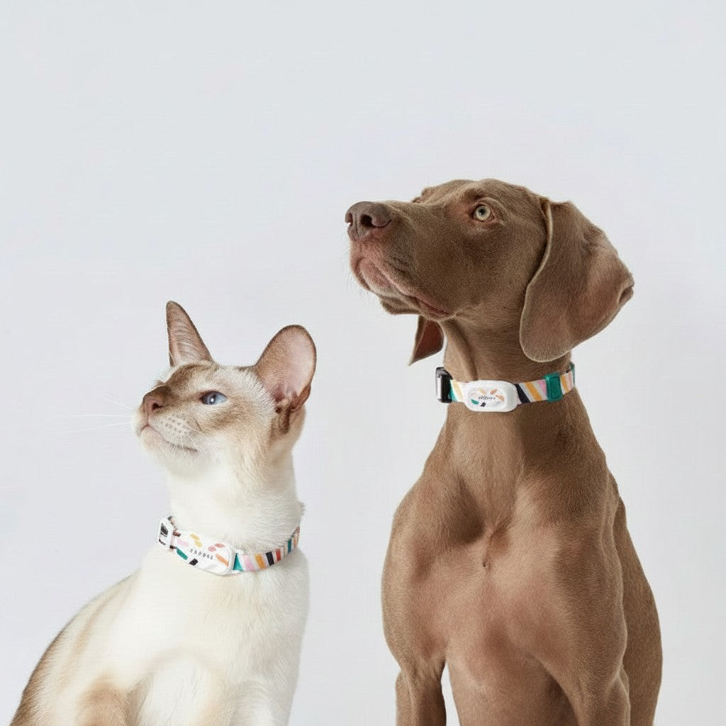 PetFit Smart GPS Pet Collar, real-time tracker with calorie and sleep monitoring for dogs and cats